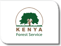 Kenya Forest